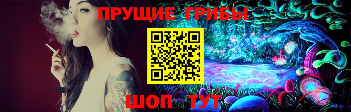 Псилоцибиновые грибы MAGIC MUSHROOMS Камышин