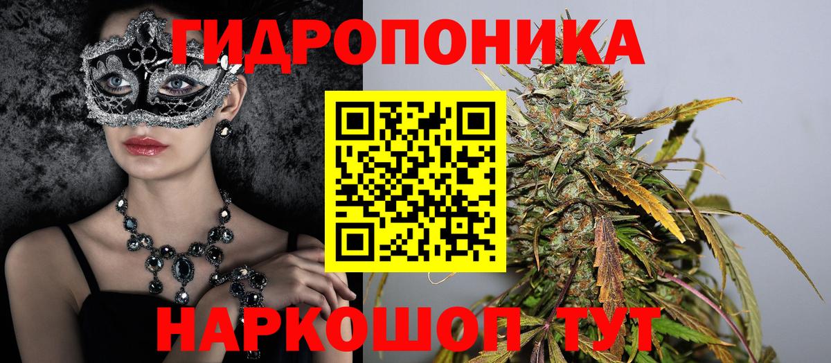 Камышин  Марихуана White Widow  Шишки марихуана тримм  Вход с VPN 